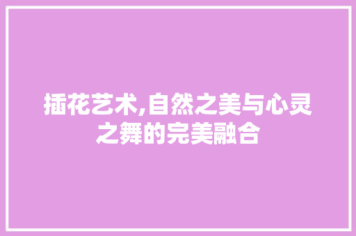 插花艺术,自然之美与心灵之舞的完美融合