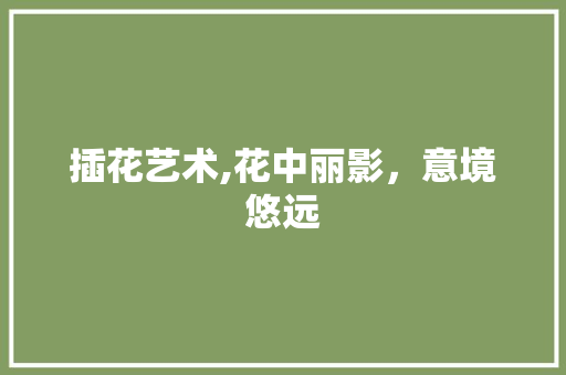 插花艺术,花中丽影，意境悠远