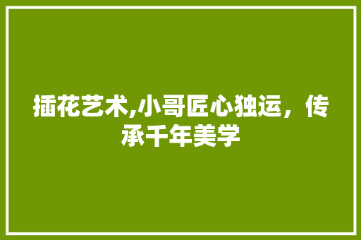插花艺术,小哥匠心独运，传承千年美学