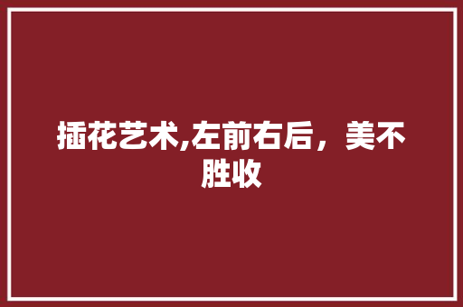 插花艺术,左前右后，美不胜收