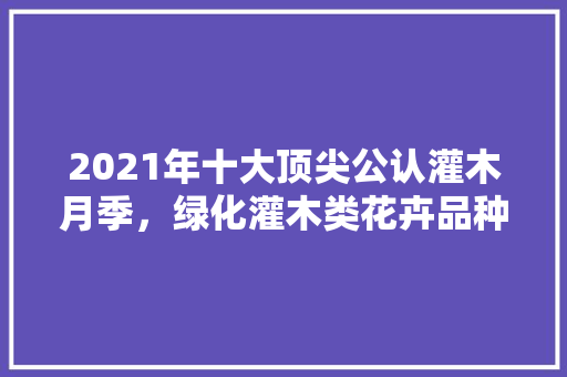 2021年十大顶尖公认灌木月季，绿化灌木类花卉品种大全图片。  第1张 2021年十大顶尖公认灌木月季，绿化灌木类花卉品种大全图片。 果苗类