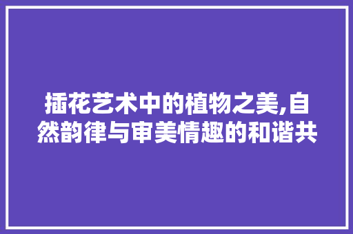 插花艺术中的植物之美,自然韵律与审美情趣的和谐共鸣