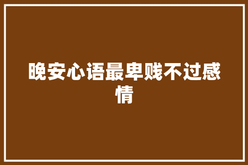 插花艺术中的骨架之美,结构与意境的完美融合