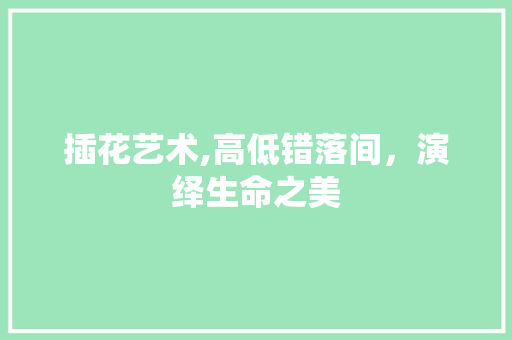 插花艺术,高低错落间，演绎生命之美