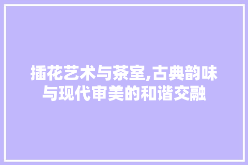 插花艺术与茶室,古典韵味与现代审美的和谐交融
