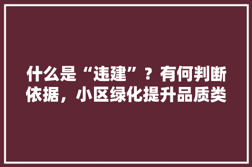 什么是“违建”？有何判断依据，小区绿化提升品质类文书怎么写。