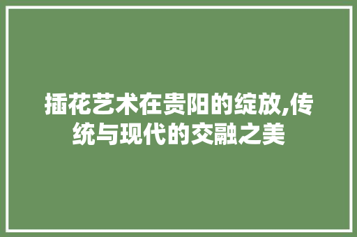 插花艺术在贵阳的绽放,传统与现代的交融之美