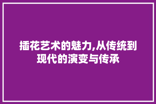 插花艺术的魅力,从传统到现代的演变与传承