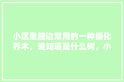 小区里路边常用的一种绿化乔木，谁知道是什么树，小区内有什么绿化树类吗图片。  第1张 小区里路边常用的一种绿化乔木，谁知道是什么树，小区内有什么绿化树类吗图片。 苗木百科