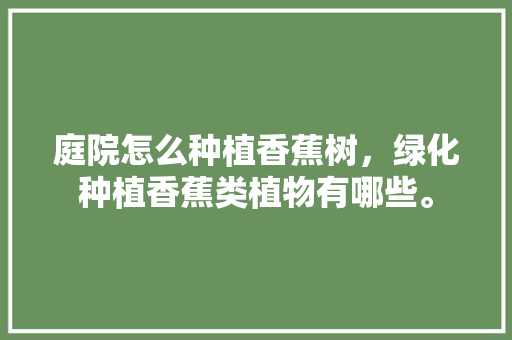 庭院怎么种植香蕉树，绿化种植香蕉类植物有哪些。