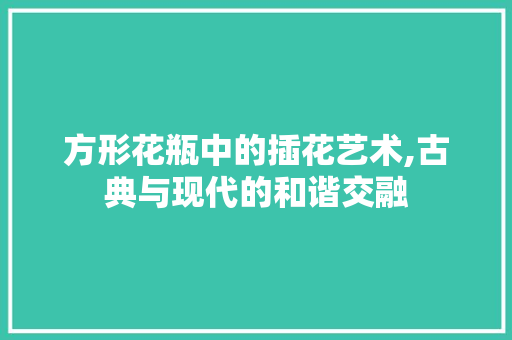 方形花瓶中的插花艺术,古典与现代的和谐交融