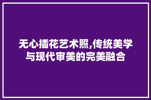 无心插花艺术照,传统美学与现代审美的完美融合