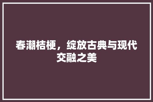 春潮桔梗，绽放古典与现代交融之美