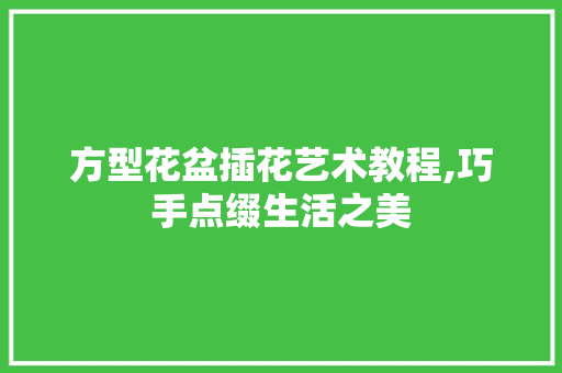 方型花盆插花艺术教程,巧手点缀生活之美 花木行情