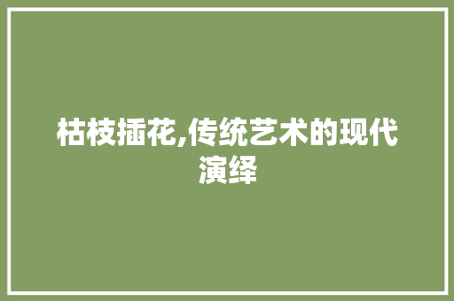 枯枝插花,传统艺术的现代演绎