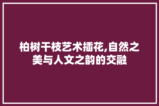 柏树干枝艺术插花,自然之美与人文之韵的交融 苗木百科