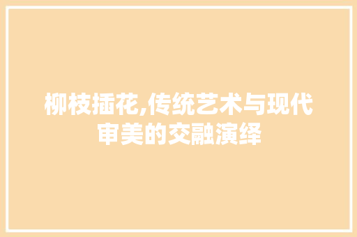 柳枝插花,传统艺术与现代审美的交融演绎