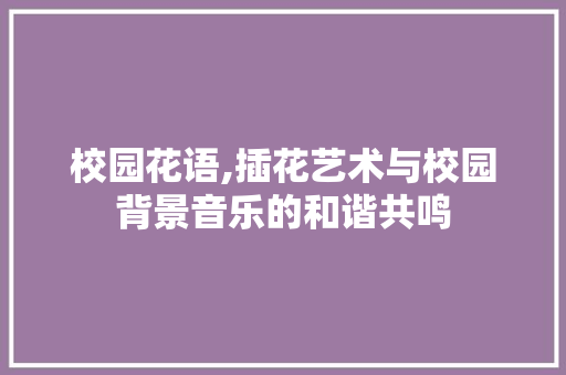 校园花语,插花艺术与校园背景音乐的和谐共鸣