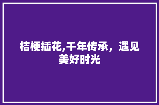 桔梗插花,千年传承，遇见美好时光