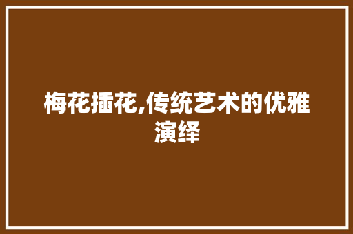 梅花插花,传统艺术的优雅演绎