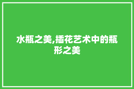 水瓶之美,插花艺术中的瓶形之美