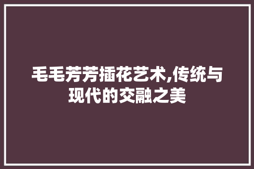毛毛芳芳插花艺术,传统与现代的交融之美