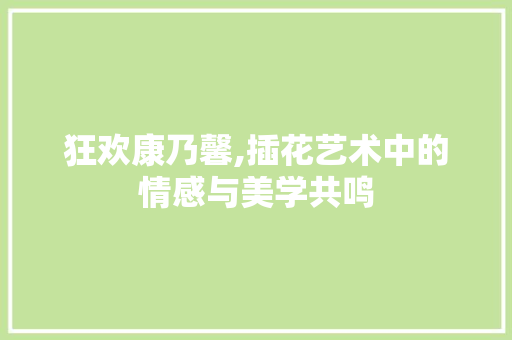 狂欢康乃馨,插花艺术中的情感与美学共鸣