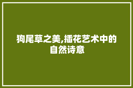 狗尾草之美,插花艺术中的自然诗意
