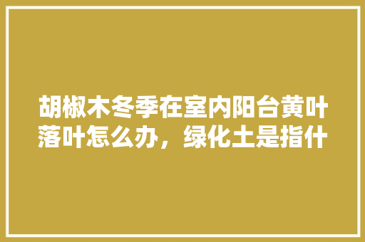 胡椒木冬季在室内阳台黄叶落叶怎么办，绿化土是指什么土类。