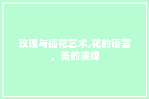 玫瑰与插花艺术,花的语言，美的演绎