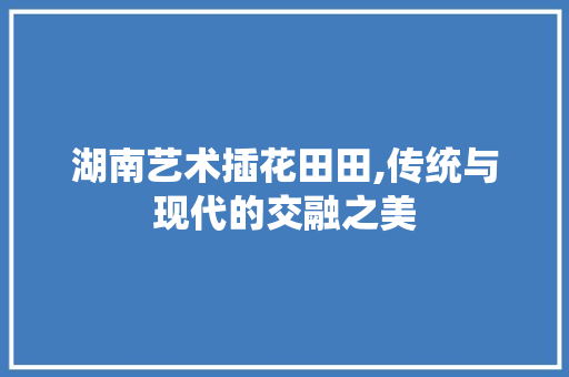 湖南艺术插花田田,传统与现代的交融之美