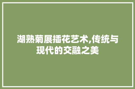 湖熟菊展插花艺术,传统与现代的交融之美