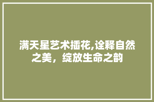 满天星艺术插花,诠释自然之美，绽放生命之韵