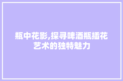 瓶中花影,探寻啤酒瓶插花艺术的独特魅力