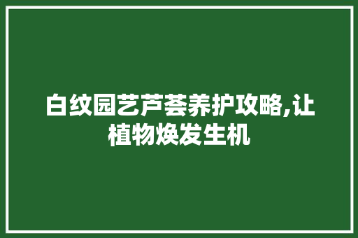 白纹园艺芦荟养护攻略,让植物焕发生机