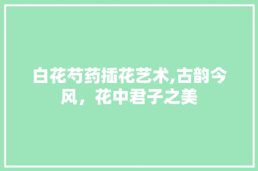 白花芍药插花艺术,古韵今风，花中君子之美