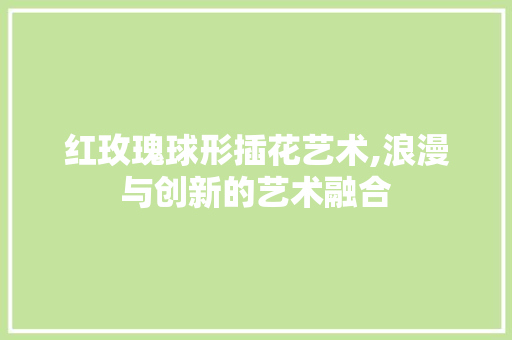 红玫瑰球形插花艺术,浪漫与创新的艺术融合