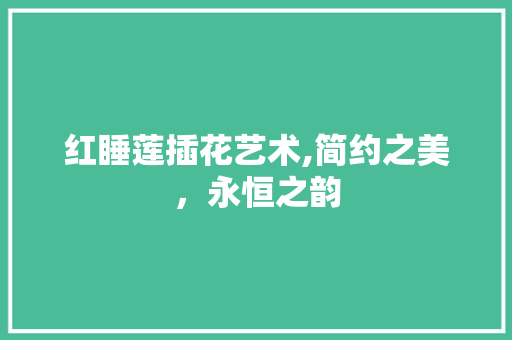 红睡莲插花艺术,简约之美，永恒之韵