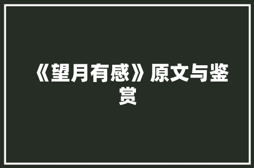 简约艺术仿真插花,融合自然之美与时尚潮流的家居艺术