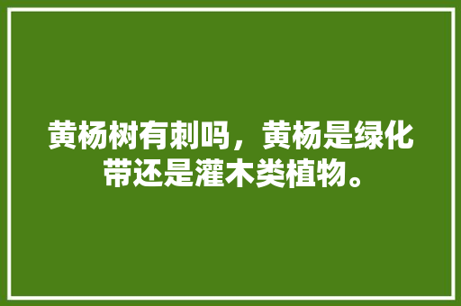 黄杨树有刺吗，黄杨是绿化带还是灌木类植物。