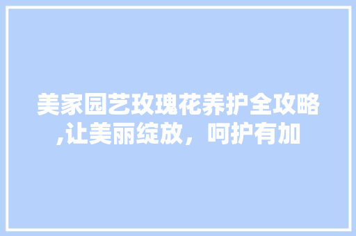 美家园艺玫瑰花养护全攻略,让美丽绽放，呵护有加
