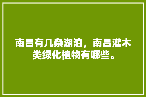 南昌有几条湖泊，南昌灌木类绿化植物有哪些。