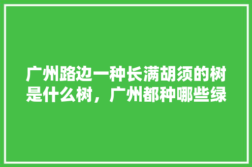 广州路边一种长满胡须的树是什么树，广州都种哪些绿化树类植物。