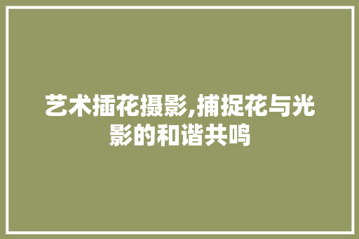艺术插花摄影,捕捉花与光影的和谐共鸣