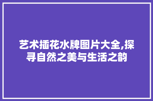艺术插花水牌图片大全,探寻自然之美与生活之韵