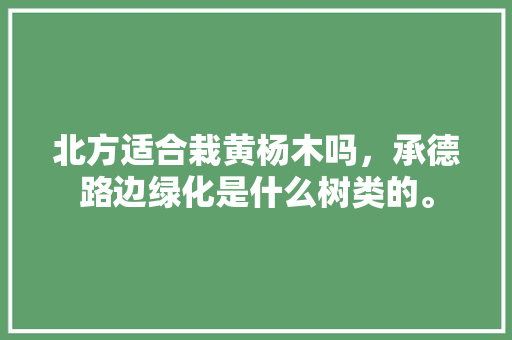 北方适合栽黄杨木吗，承德路边绿化是什么树类的。