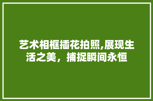 艺术相框插花拍照,展现生活之美，捕捉瞬间永恒