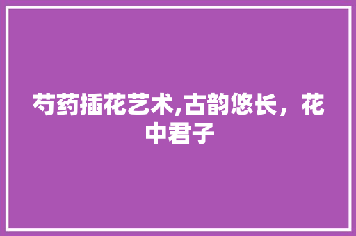 芍药插花艺术,古韵悠长，花中君子