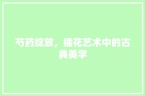 芍药绽放，插花艺术中的古典美学