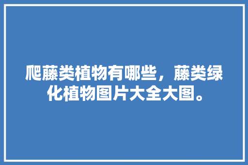 爬藤类植物有哪些，藤类绿化植物图片大全大图。